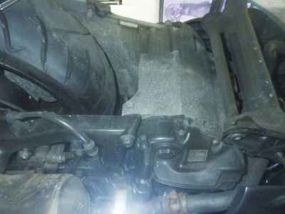 Honda Forza Z 2005