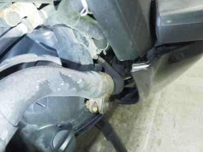 Honda Forza Z 2006