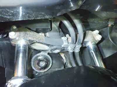 Honda Forza Z 2006