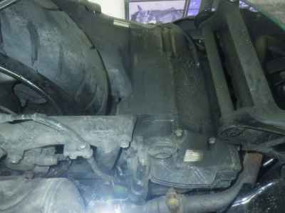 Honda Forza Z 2004