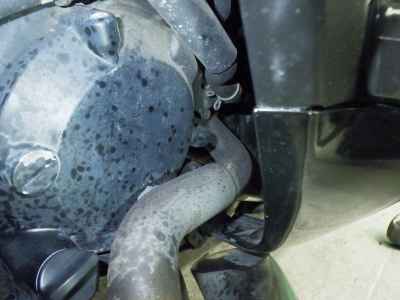 Honda Forza Z 2005