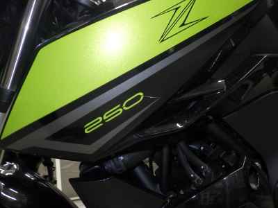 Kawasaki Z250 2022
