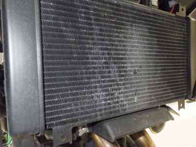 Kawasaki Z250 2022