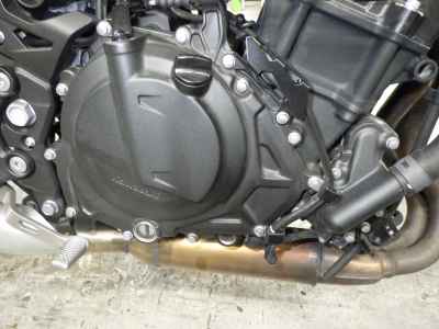 Kawasaki Z250 2022
