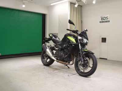 Kawasaki Z250 2022