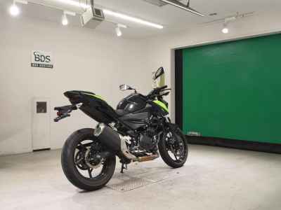 Kawasaki Z250 2022