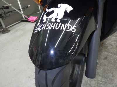 Honda Forza Z 2009