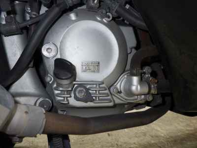 Honda Forza Z 2009