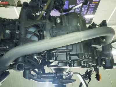 Honda Rebel CMX250 2019