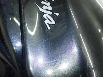 Kawasaki Ninja 1000 2016