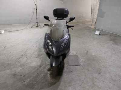 Yamaha Majesty 250 2007