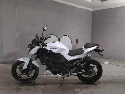 Kawasaki Z250 2014