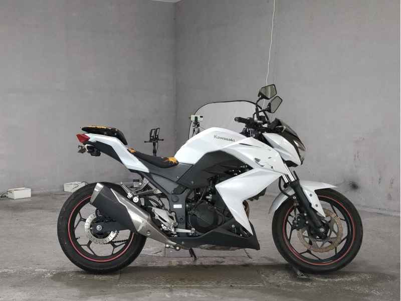 Kawasaki Z250 2013