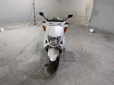 Honda Foresight SE 1999