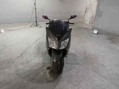 Honda Forza Z 2008