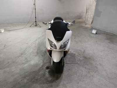 Honda Forza Z 2006