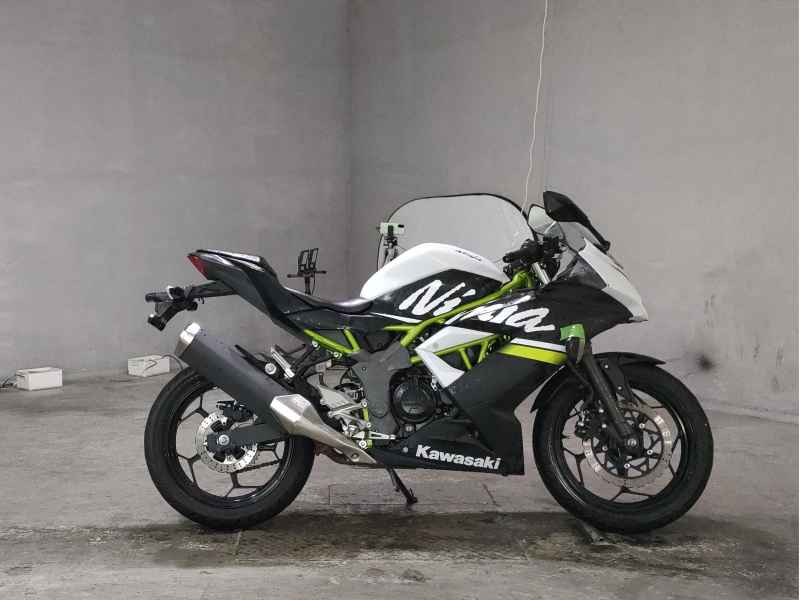 Kawasaki Ninja 250 2022