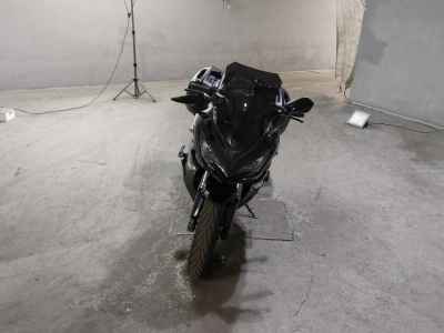 Kawasaki Ninja 1000 2017