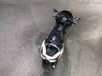 Honda Forza Z 2004