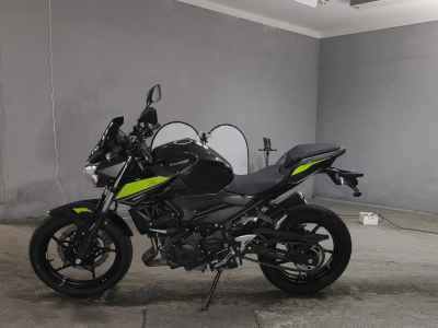 Kawasaki Z250 2022