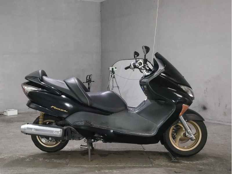 Honda Forza Z 2007