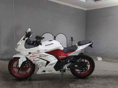 Kawasaki Ninja 250R 2010