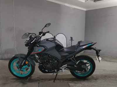 Yamaha MT-25 2022