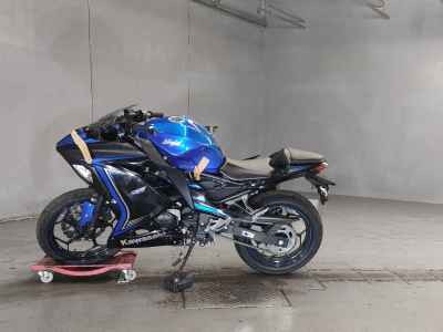Kawasaki Ninja 250 2015