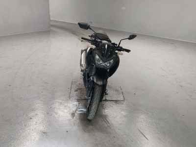 Kawasaki Z250 2016