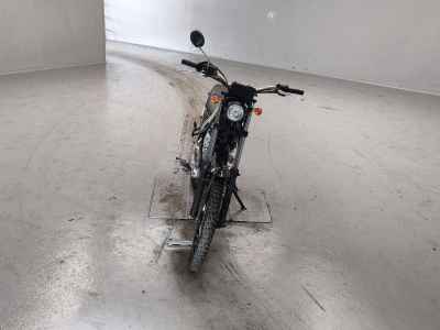 Yamaha TRICKER 2006