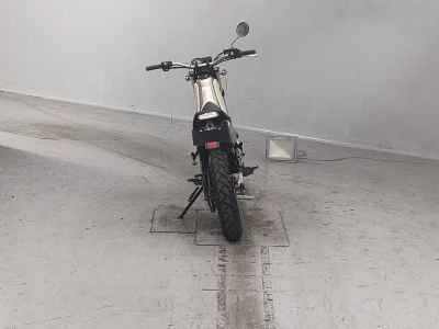 Yamaha TRICKER 2006