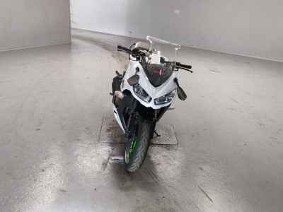Kawasaki Ninja 1000 2015