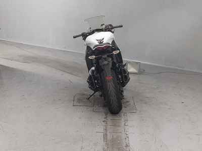 Kawasaki Ninja 1000 2015