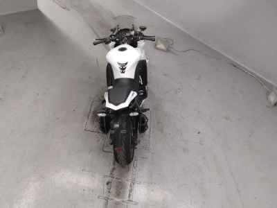 Kawasaki Ninja 1000 2015