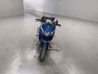 Suzuki Gixxer 250SF 2019