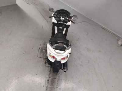 Honda Forza Z 2008