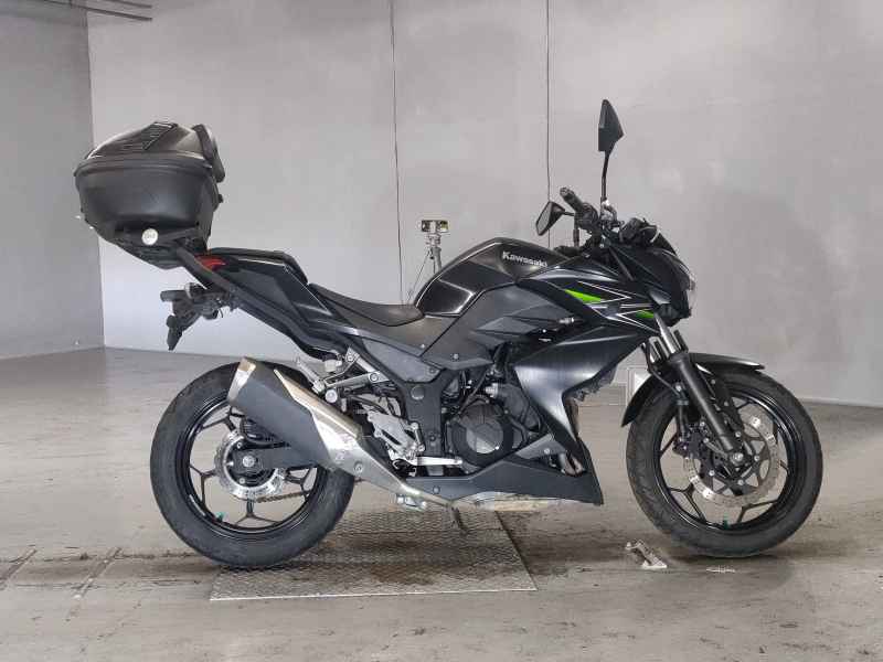 Kawasaki Z250 2013