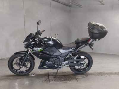 Kawasaki Z250 2013