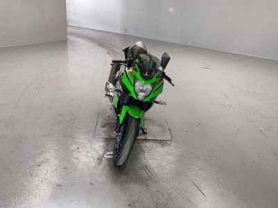 Kawasaki Ninja 250 2019