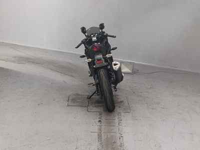 Kawasaki Ninja 250 2019