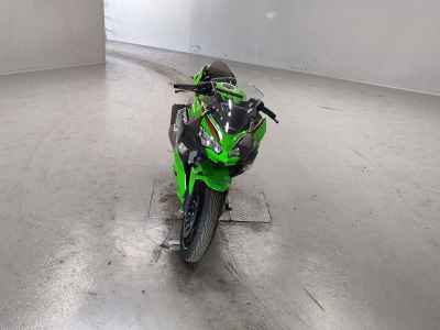 Kawasaki Ninja 250 2023