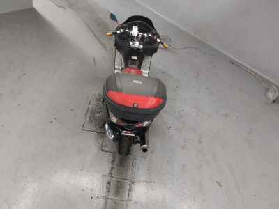 Honda Forza Z 2006
