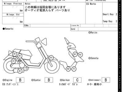 Honda Forza Z 2011