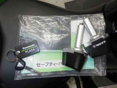 Kawasaki Ninja 1000SX 2020