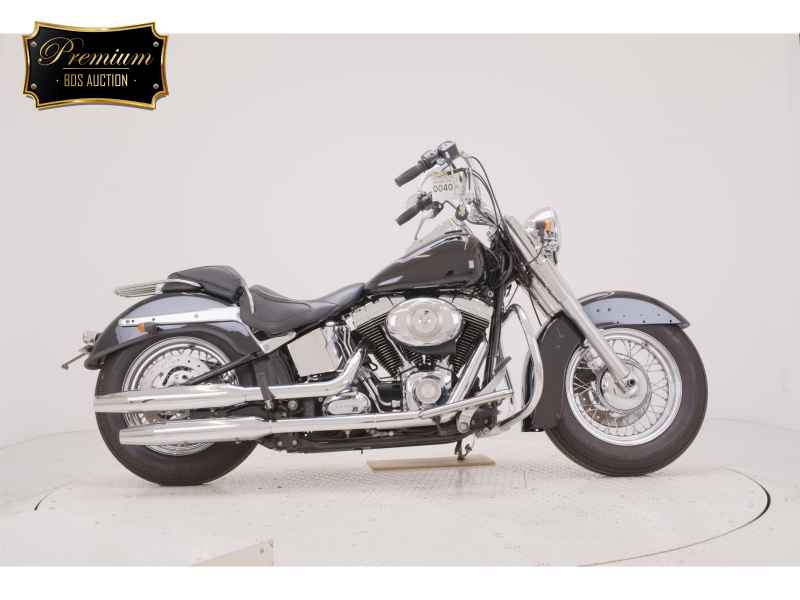 Harley-Davidson Deluxe FLSTN1580 2010