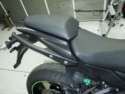 Kawasaki Ninja 1000 2015