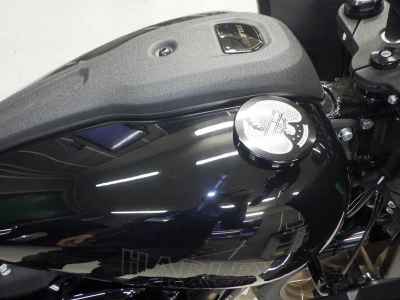 Harley-Davidson FXLRST1920 2025