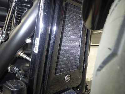 Harley-Davidson FXLRST1920 2025