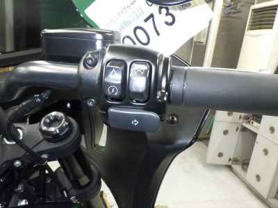 Harley-Davidson FXLRST1920 2025