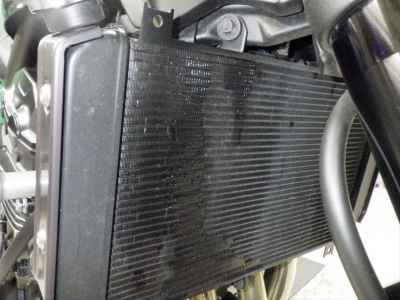 Kawasaki Z900RS Cafe 2024